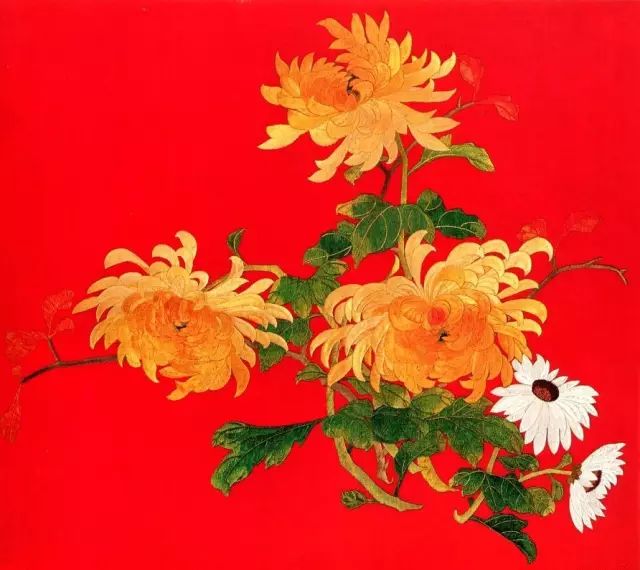 5、菊花圖案